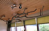 Ceiling with branches / Takken aan het plafond