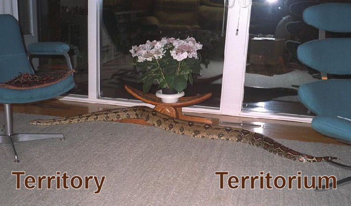 Territory / Territorium