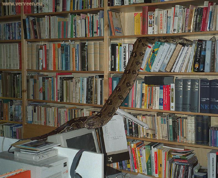 Bookcase / Boekenkast