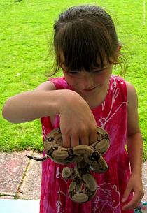 Girl plays with a boa 2