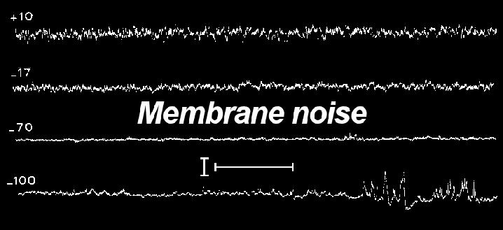 Membrane noise / Membraanruis